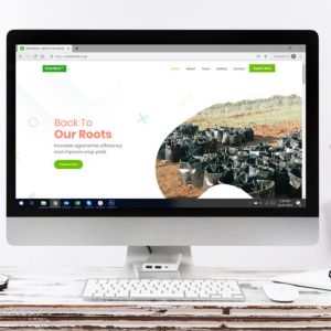 Smart Root Web Design
